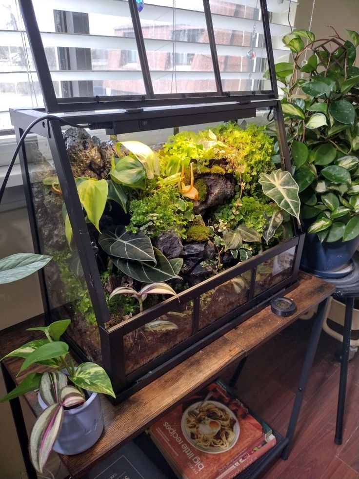 an indoor terrarium with plants and rocks in it