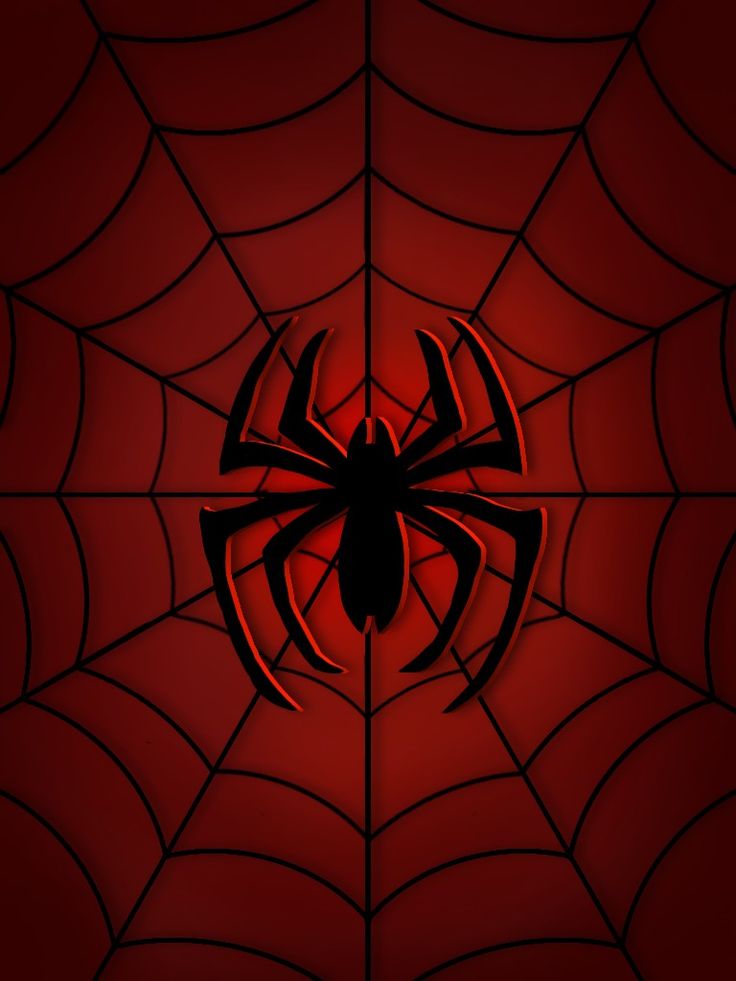 a spider web on a red background