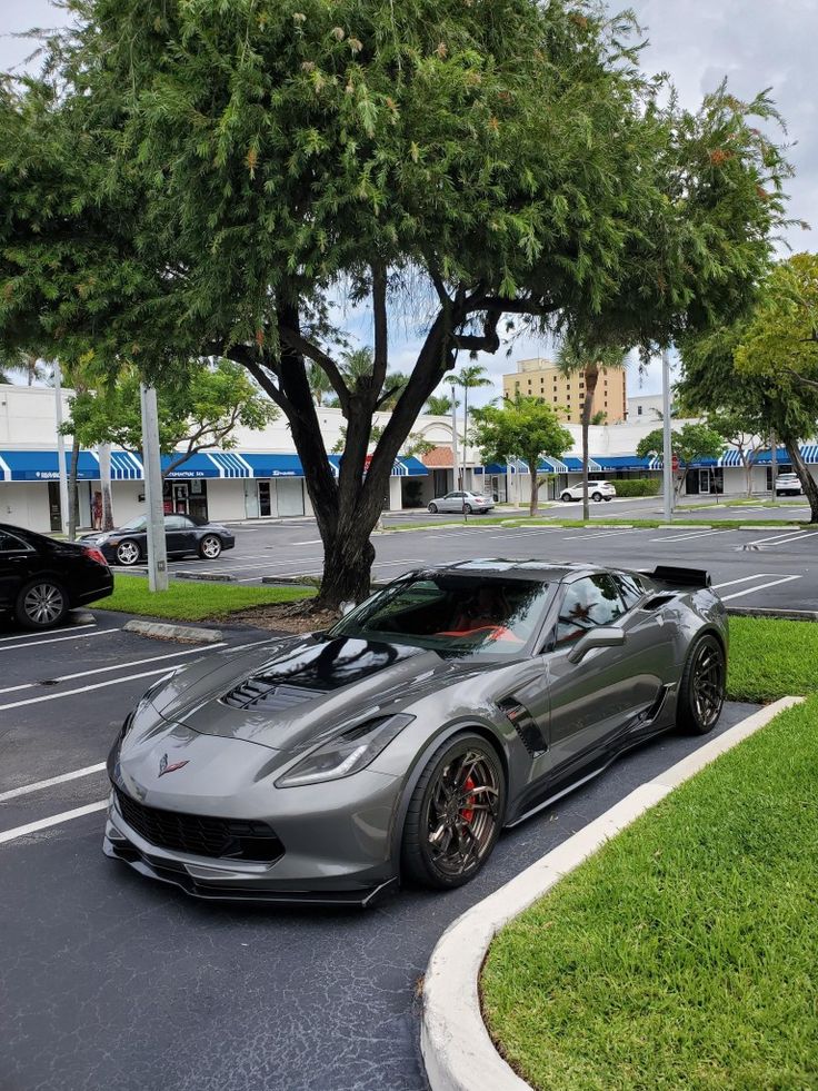 a silver sports car is parked on the side of the road in front of a tree