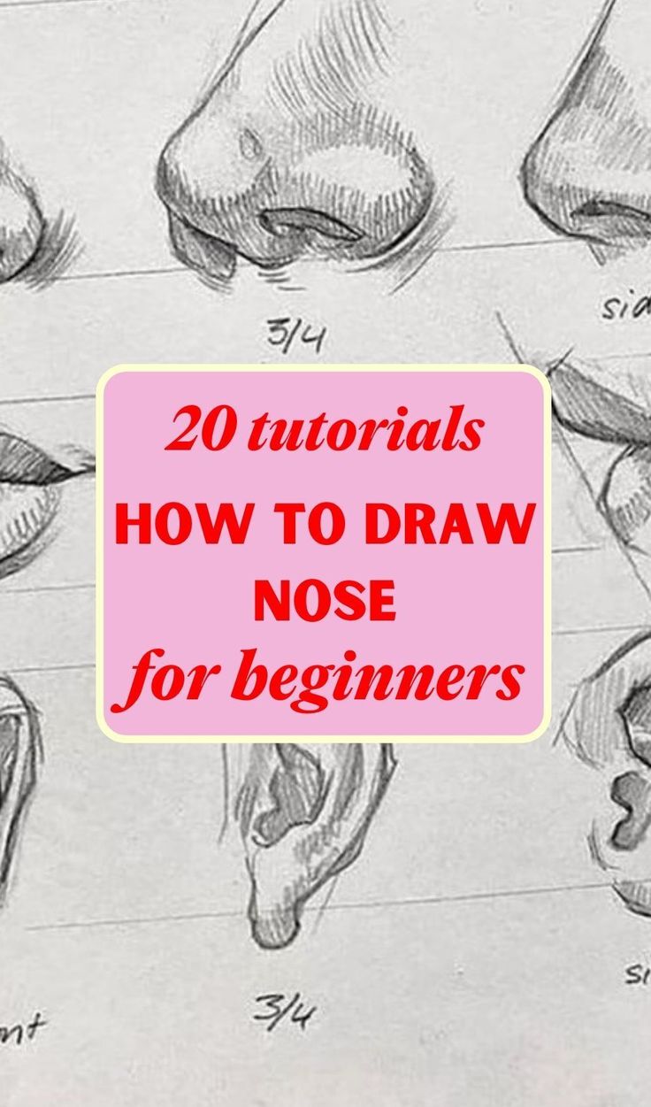 how to draw nose for beginners with the title overlaying it's image