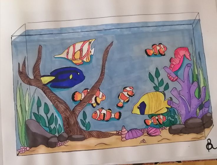 Fish tank with different types of fish Fish Tank Drawing Art, Aquarium Sketch Art, Fish Tank Drawing Easy, Aquarium Fish Drawing, Cute Aquarium Drawing, Fish Tank Drawing Aquarium, Aquarium Art Drawing, Fish Tank Drawing For Kids, Aquarium Drawing Ideas