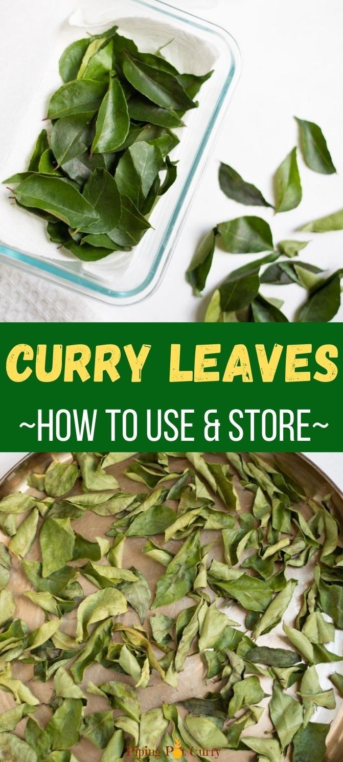 how to use and store curry leaves in the kitchen - step by step instructions for making curry leaves