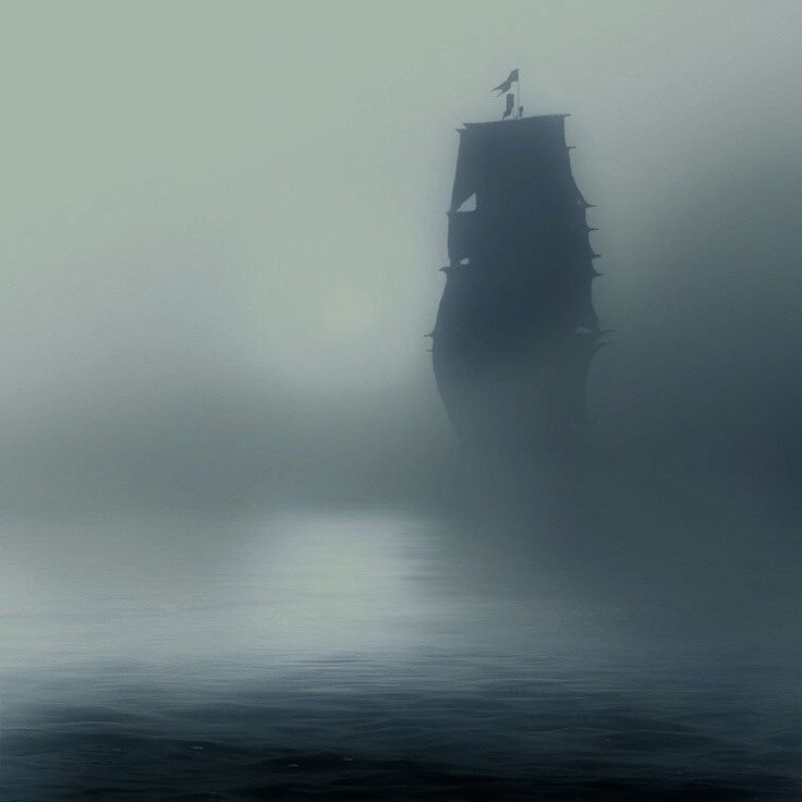 an old ship in the fog with a bird on it's back end and water below