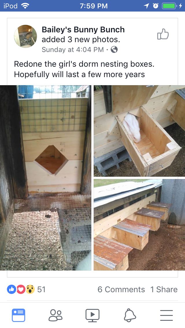 an instagramted post showing the steps to a bunny house