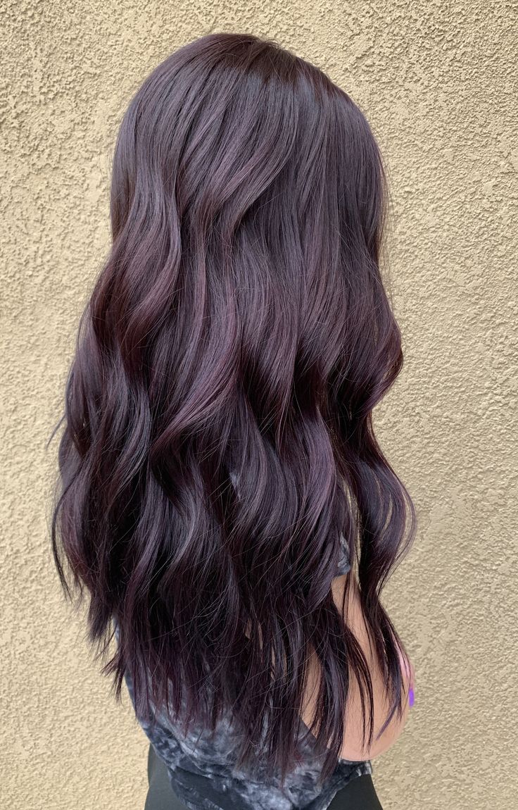 Dark Hair Color With Purple Tint, Violet Brown Hair Color Brunettes, Villain Era Hair Color, Dark Chocolate Violet Hair, Dark Brown With Purple Undertones, Dark Plum Balayage, Violet Chocolate Brown Hair, Violet Tinted Hair, Darker Purple Hair