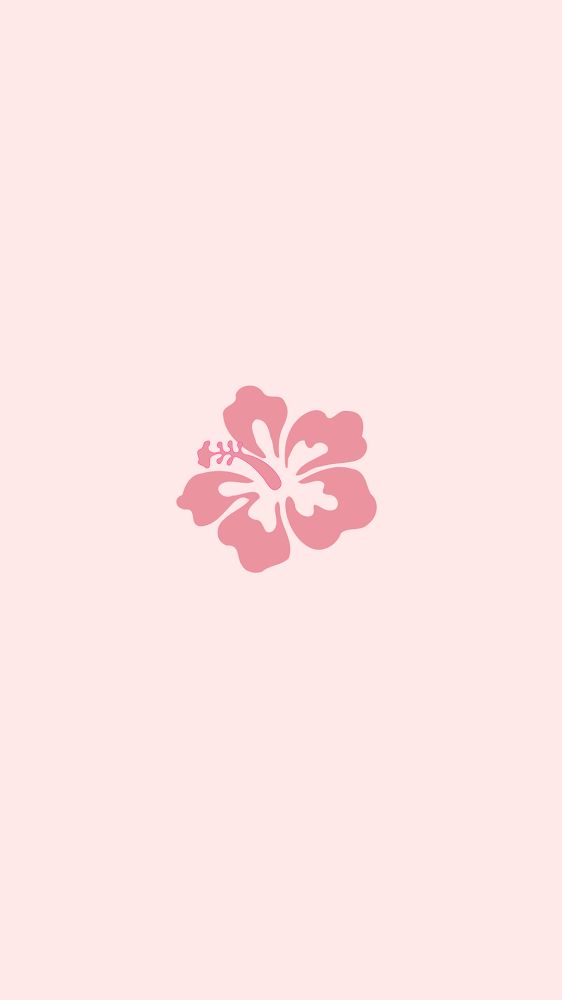 a pink flower on a light pink background