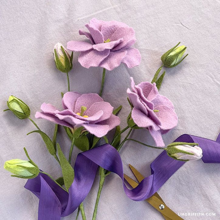 purple flowers are being cut with scissors on a white tablecloth background and tied together