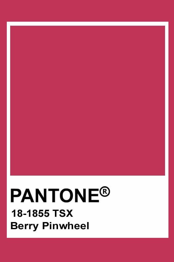 Pantone Red, Pantone Color Chart, Rainbow Order, Virgo Moon, Deep Winter, Leo And Virgo, Cookie Run, Favorite Cookies, Pantone Color