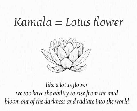 Kamala Lotus Meaning, Lotus Flower Meaning, Flower Tattoo Meanings, Out Of The Darkness, Geometric Tattoos, Flower Meanings, The Lotus, Sleeve Tattoo, The Darkness