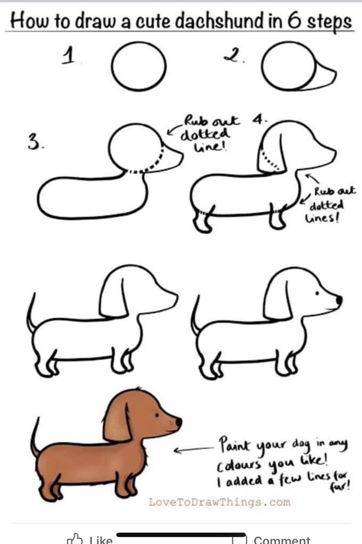 how to draw a cute dachshund in 6 steps step by step instructions