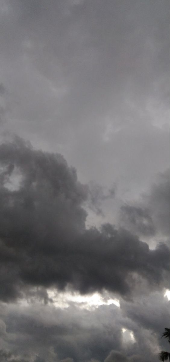 the sky is filled with dark clouds and some palm trees in the foreground on a cloudy day