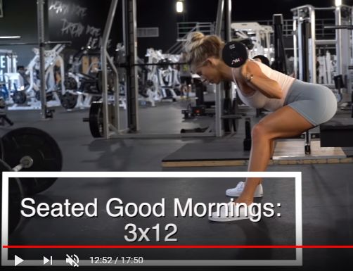 a woman squatting on a bench in a gym with the words seated good mornings 3x1