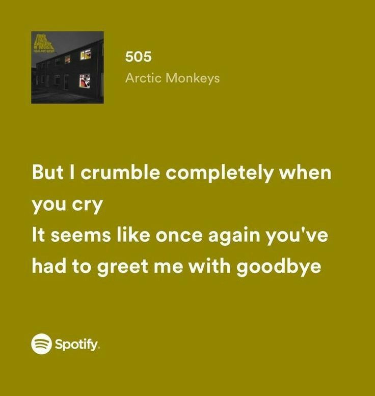 #arcticmonkeys #505 #music #lyrics #spotify Deep Song Lyrics, Lyrics From Songs, Famous Music Quotes, 505 Arctic Monkeys, Songs That Describe Me, Meaningful Lyrics, Under Your Spell, Song Lyric Quotes, Spotify Lyrics