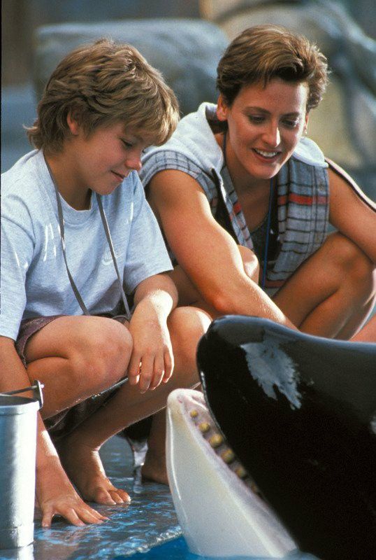 two people petting an orca whale at seaworld in san francisco, california