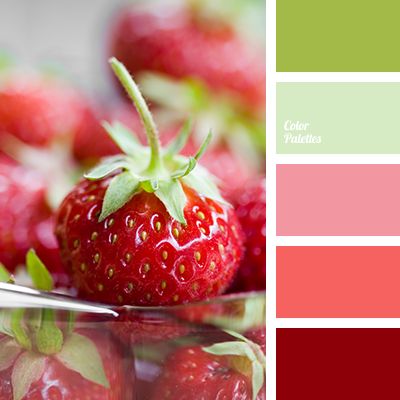 strawberries with green leaves and red berries in the background are color palette swatches