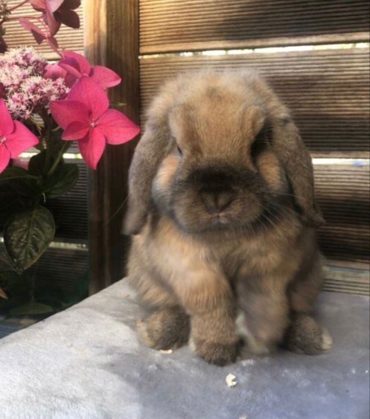 a small rabbit sitting on top of a table next to flowers