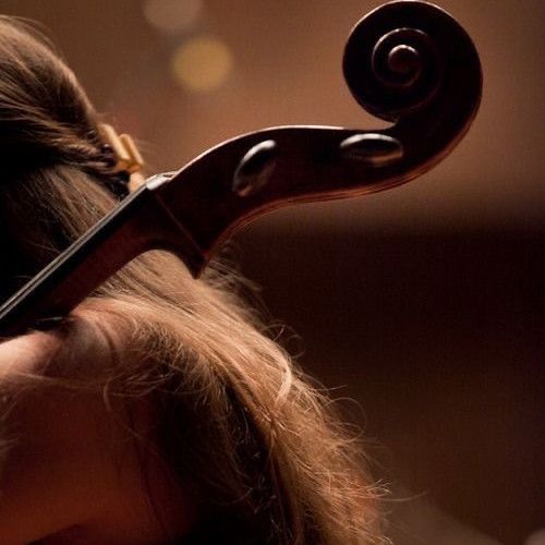 a close up of a violin being played by someone