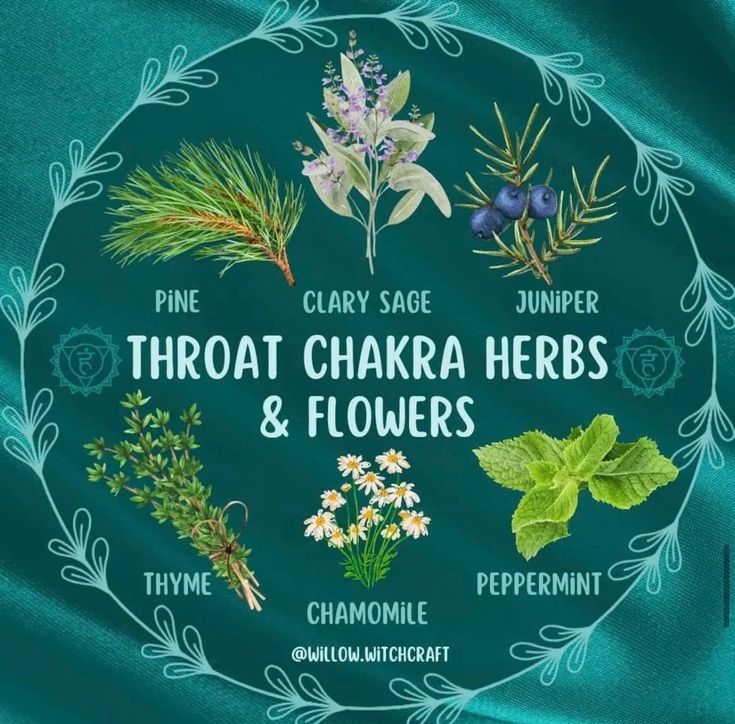 Chakra Herbs, Throat Chakra Healing, Chakra Work, Witch Herbs, Chakra Art, Healing Spells, Magical Herbs, Herbal Healing, Herbs For Health