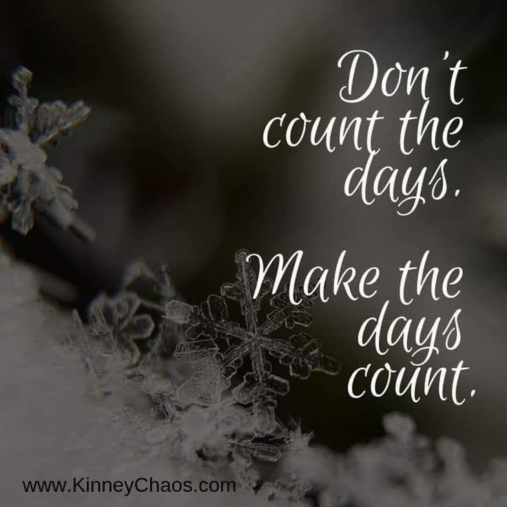 a snowflake with the words don't count the days make the days count