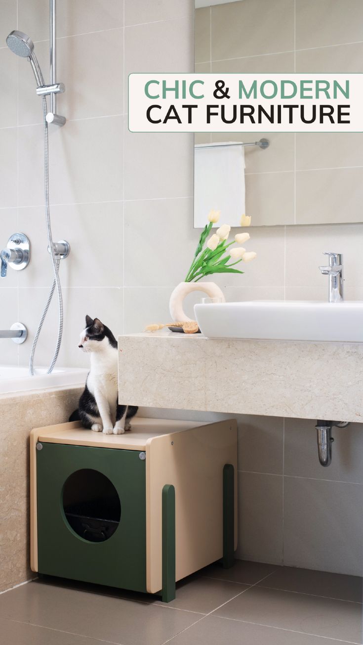 a black and white cat sitting on top of a box in a bathroom next to a sink