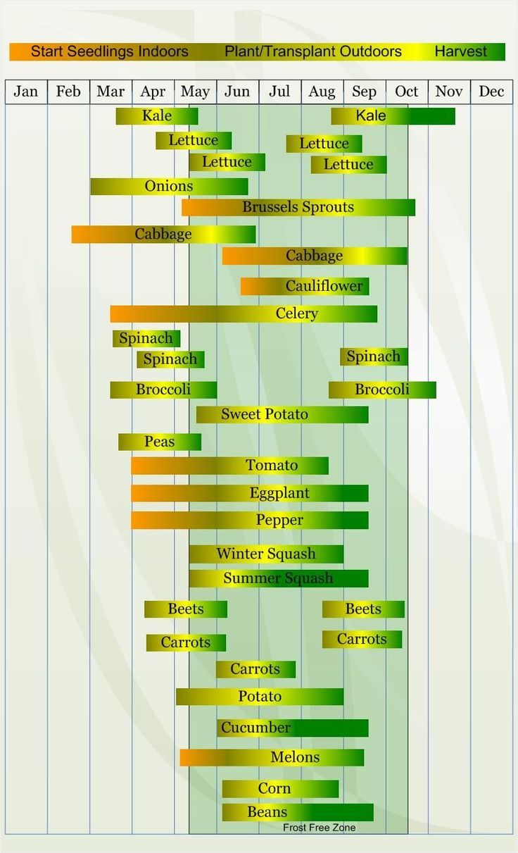 an image of a line chart with different colors and numbers on it's sides