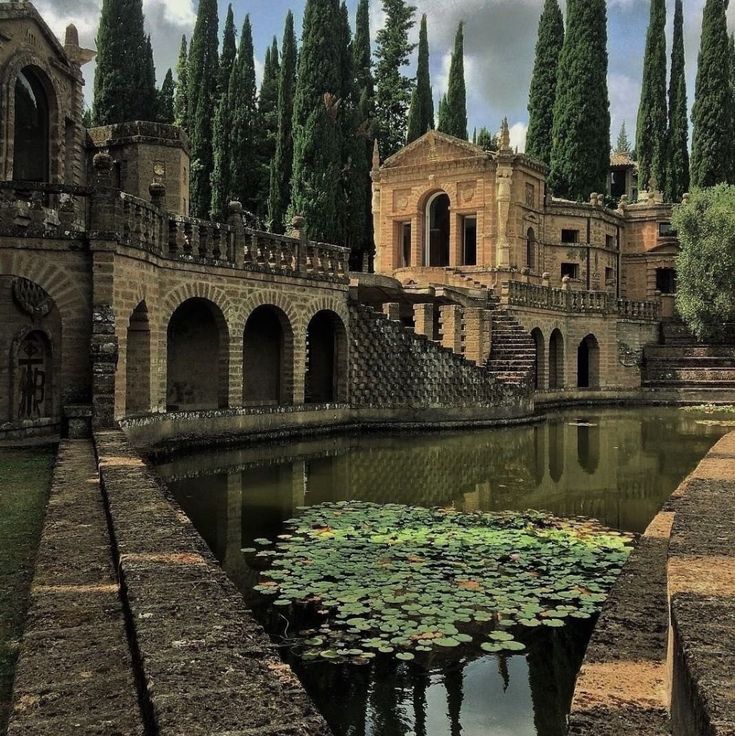 a pond in front of an old building with trees on the other side and water lilies growing out of it