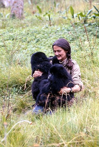 a woman sitting in the grass holding two black bears