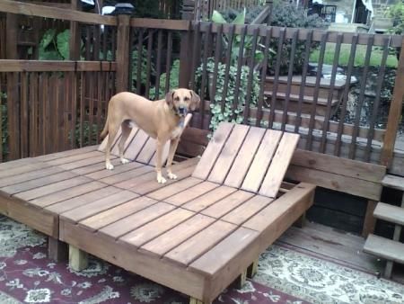 a dog standing on top of a wooden deck in front of a fenced area