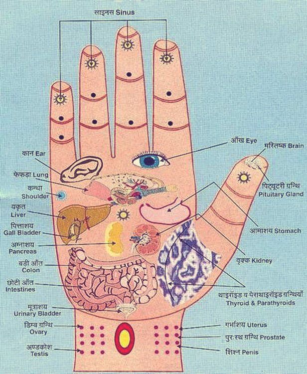 Hand Reflexology, Reflexology Chart, Reflexology Massage, Foot Reflexology, Shiatsu Massage, Hand Massage, Acupressure Points, Alternative Health, Pressure Points