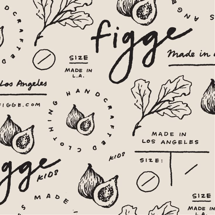 an image of figs drawn in black and white on a piece of paper with ink