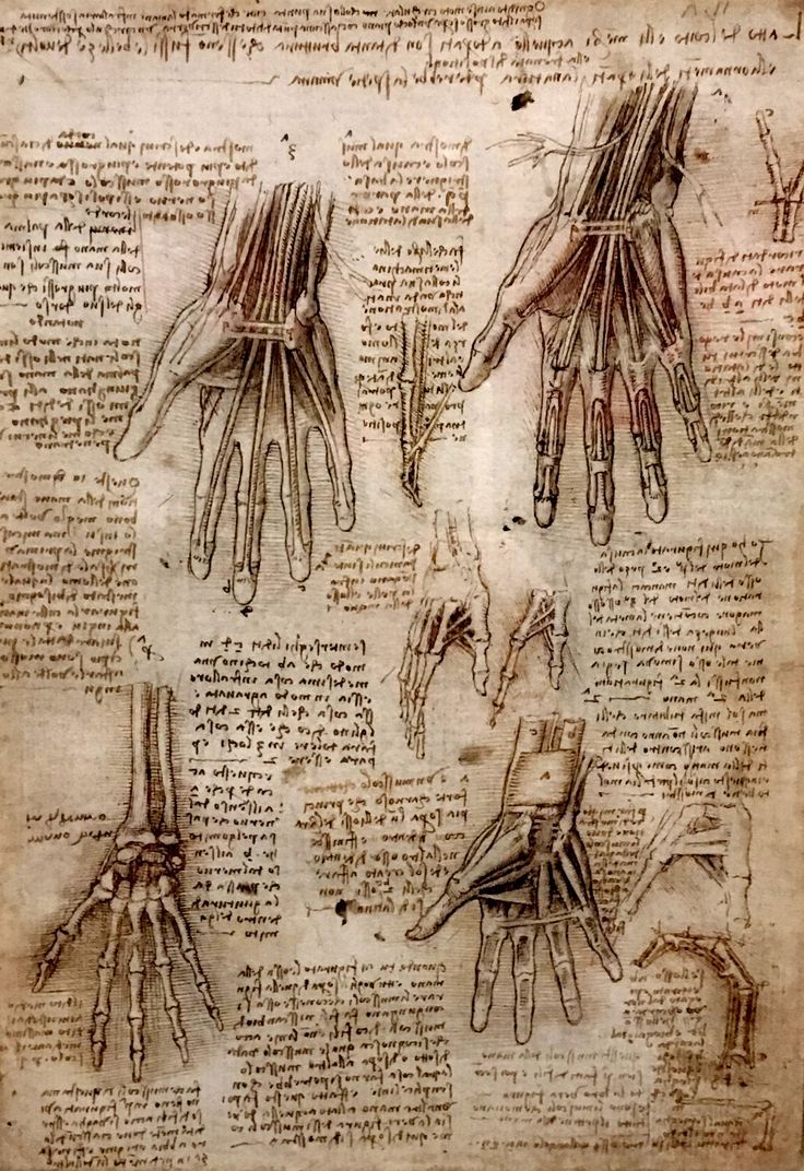 an old book with drawings of hands and fingers on it's page, showing the different parts of the human hand