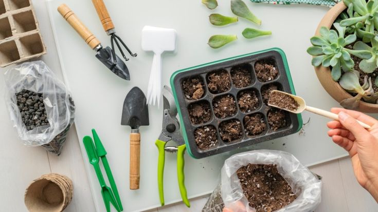 Home Soils | Home Decor and Gardening Tips