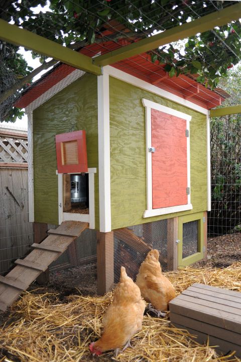 two chickens are standing in the hay next to a chicken coop with stairs leading up to it