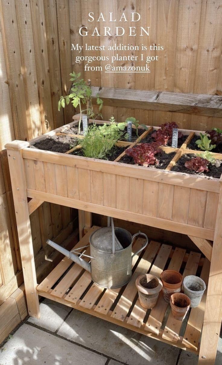 an outdoor garden with potted plants and gardening tools