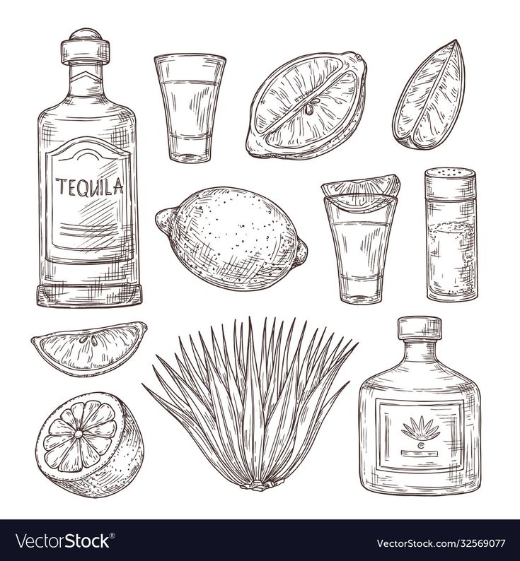 hand drawn alcohol bottles and glasses with lemons, pineapple, tequila, gin