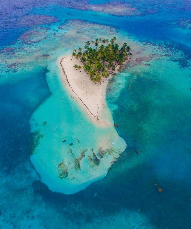 an island in the middle of the ocean with palm trees on it's top