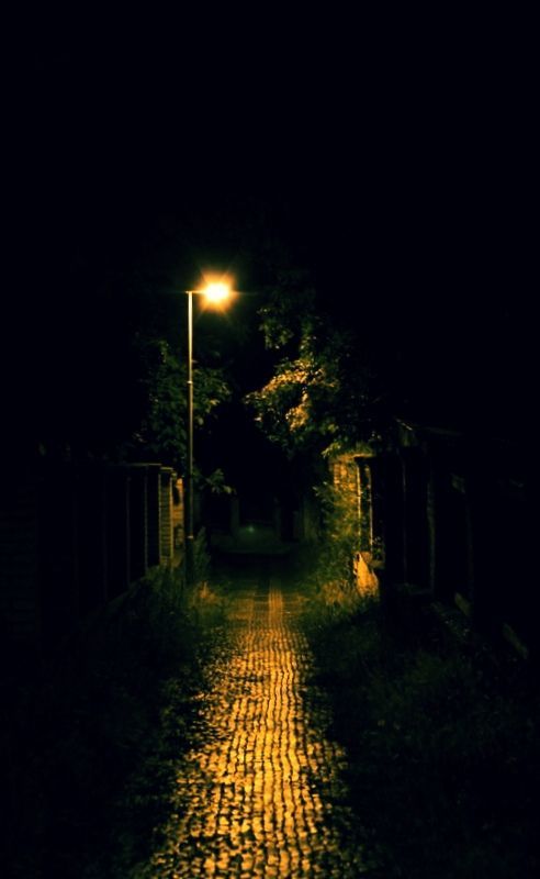 a dark alley way at night with street lights on the side and trees in the background