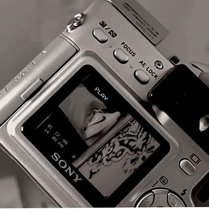 a person holding up a digital camera