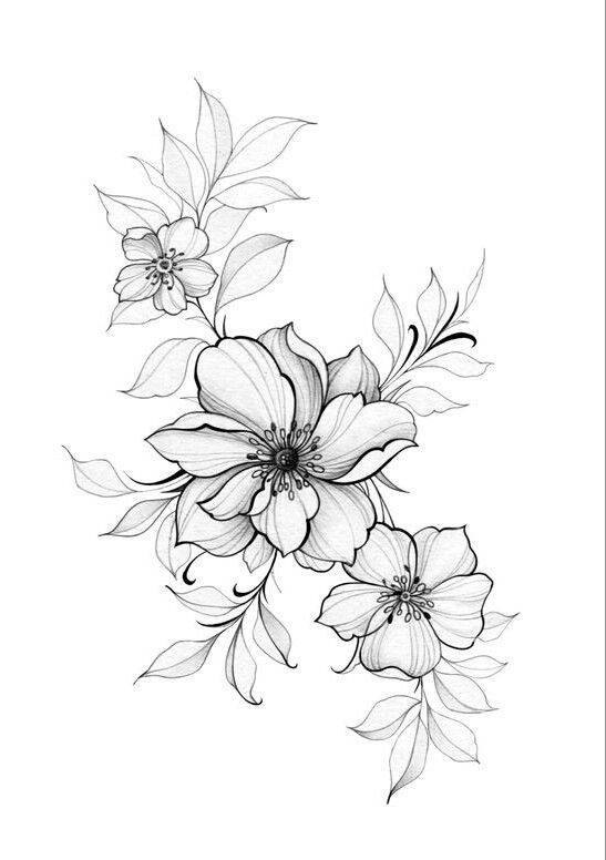 black and white drawing of flowers on a white background