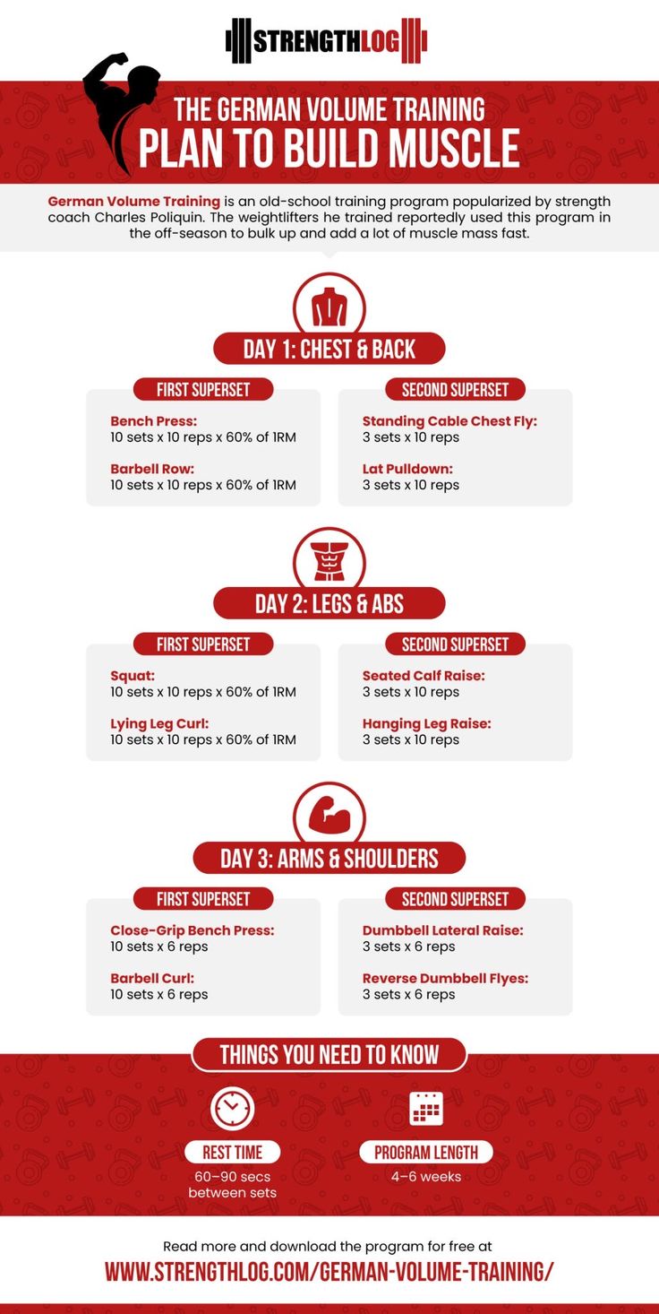 the ultimate guide to building muscle muscles info sheet for strength training, including exercises and tips