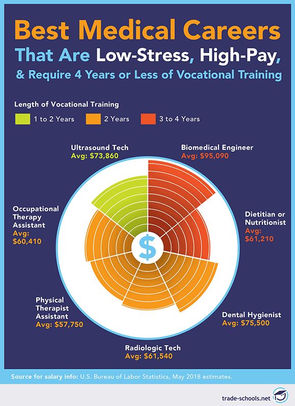 High-Paying Medical Jobs With Little Schooling: 7 Low-Stress Careers Health Care Careers, Trade Jobs, Medical Sonography, Diagnostic Medical Sonography, Physical Therapist Assistant, Physical Therapy Assistant, Healthcare Careers, Hospital Administration, Medical Jobs