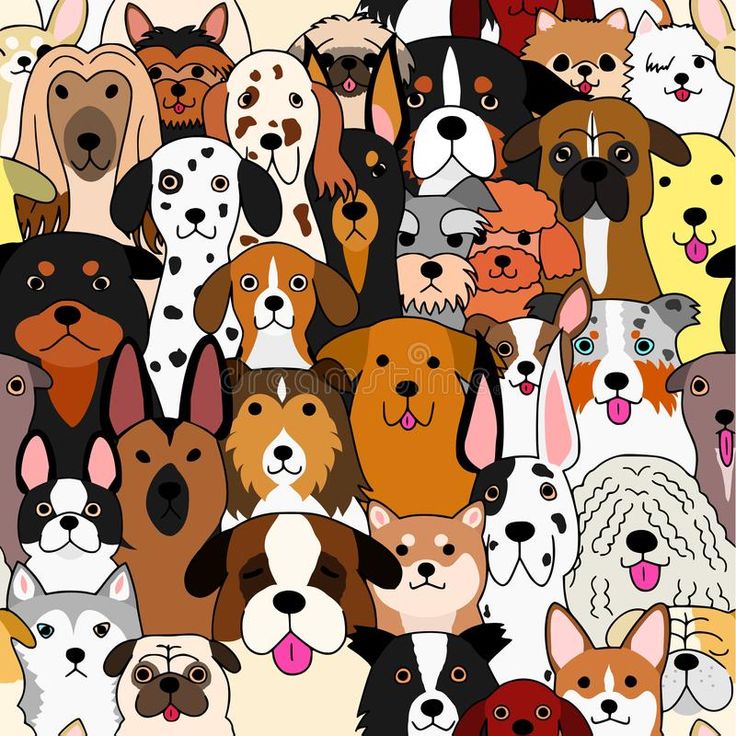 a large group of dogs with different colors and sizes on the face, all looking up