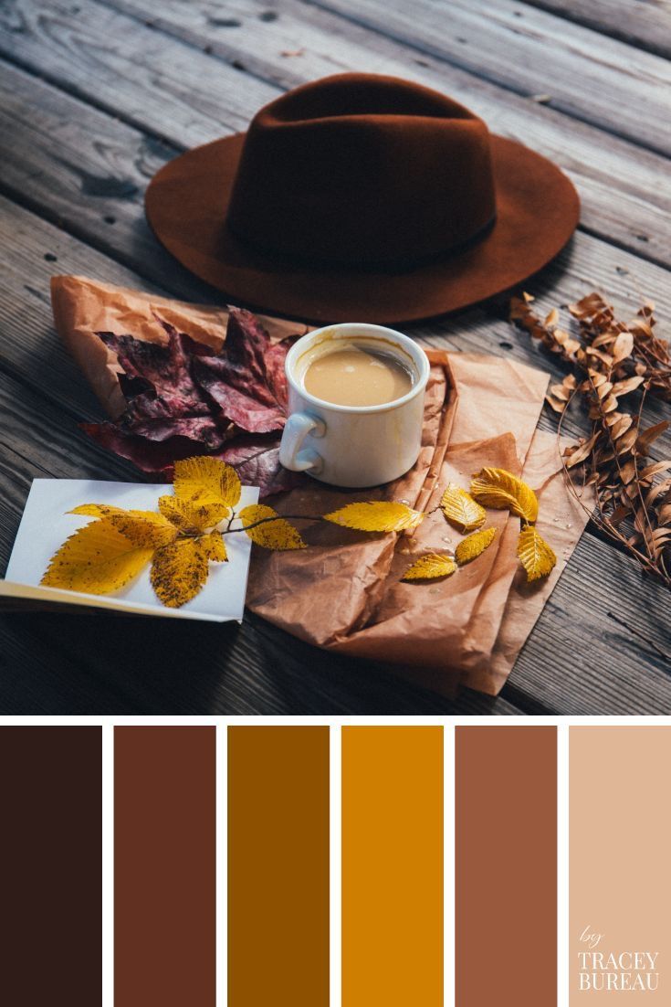 a coffee cup and some leaves on a table with color swatches in the background