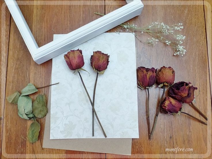 some dried flowers are sitting on top of a piece of paper