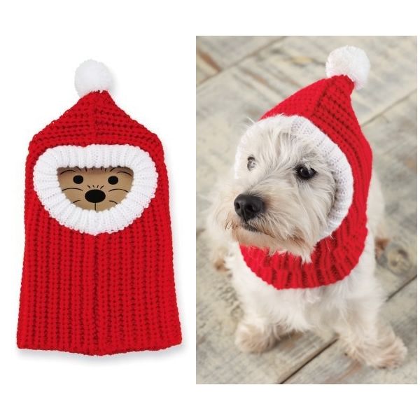 a white dog wearing a red knitted hat and scarf with a bear on it