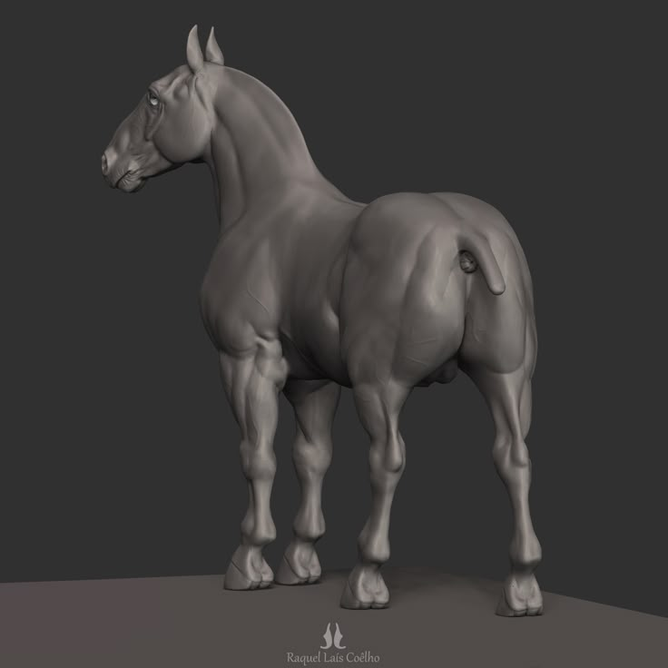 Horse - ZBrushCentral Horse In Motion, Creative Sculpture, Sculpting Reference, Horse Custom, Zbrush Models, Horse Coat Colors, 3d Horse, Horse Model, Horse Anatomy