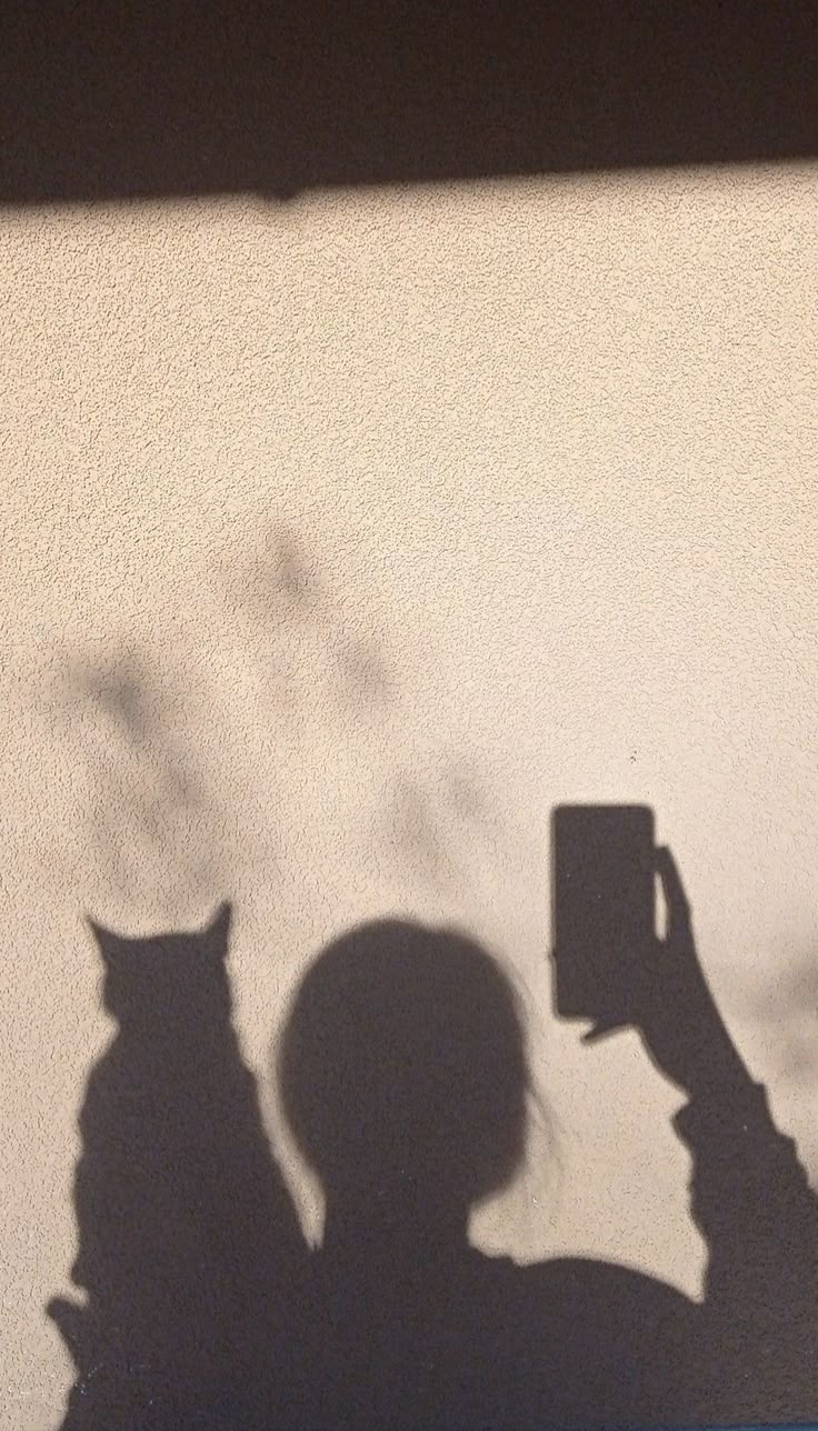 the shadow of a person holding up a cell phone with a cat sitting on top of it