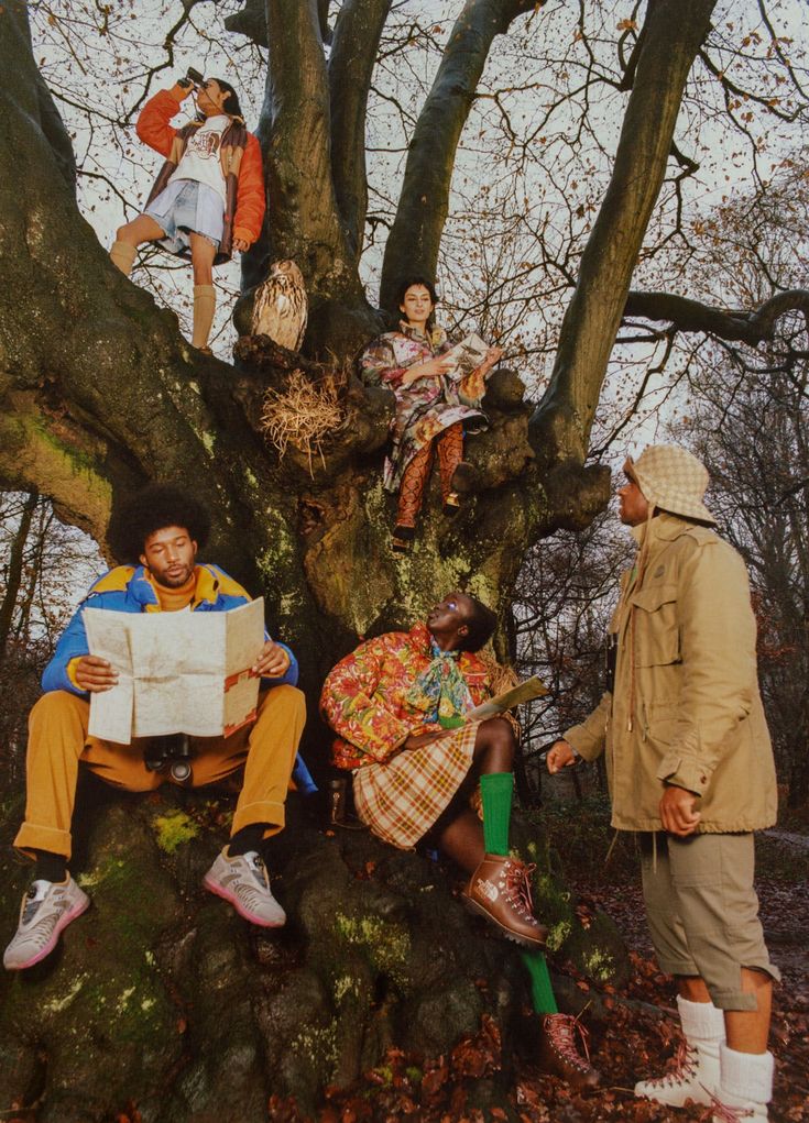 four people sitting in the branches of a large tree while one person reads a book