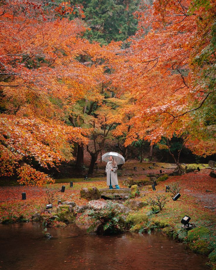 a woman holding an umbrella standing next to a river in the woods with fall colors