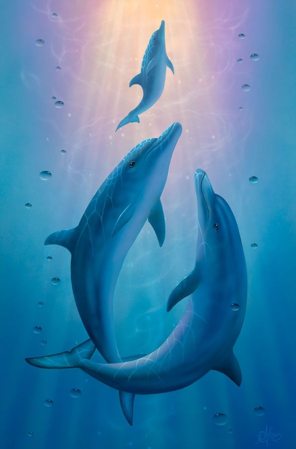 two dolphins swimming in the ocean with sunlight coming through them's water bubbles and fish around them